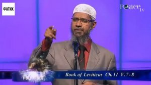 Мужчины получат гурии в Раю, а женщины? _ Др. Закир Найк