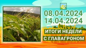 Итоги недели с ГлавАгроном. 08.04.2024 - 14.04.2024