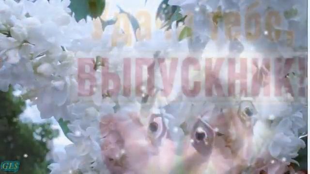 25 мая Последний звонок  Красивое поздравление с последним звонком Музыкальная Видео Открытка