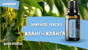 Иланг-иланг - эфирное масло | Спасение для сухой кожи, красота волос и здоровье нервной системы
