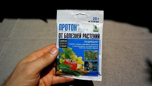 ТОП 5 ЛУЧШИХ СРЕДСТВ ОТ ФИТОФТОРЫ НА ПОМИДОРАХ!!!