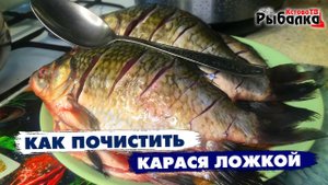 Как быстро за 10 секунд почистить карася обычной ложкой.