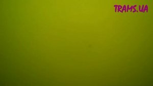 ПЛАВАЕМ ПОД ВОДОЙ В МАСКЕ ЧТО ИМЕНО ВИДНО В ЗЕЛЁНОЙ МУТНОЙ ВОДЕ