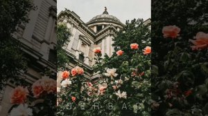 Новая песня🌹 2022 сан тропе ⚜️
