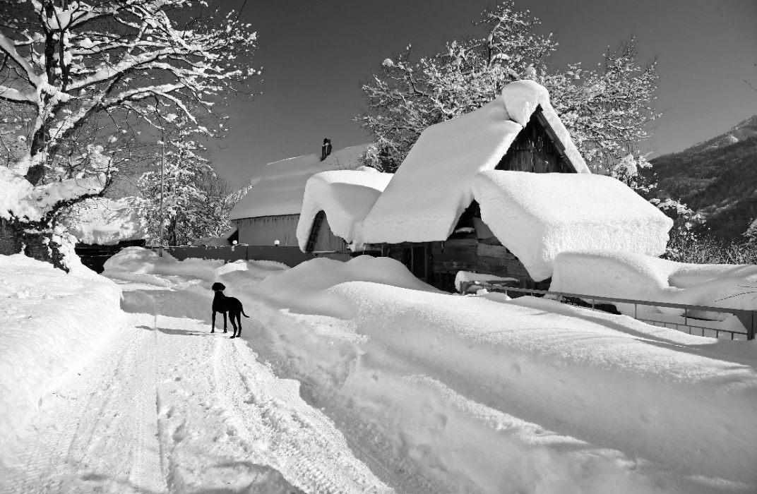 Алеша Рондо - Очарована, околдована (2006)