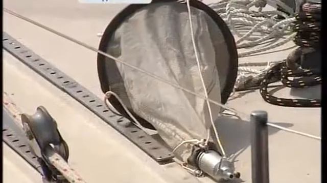 Микропластик, попадающий в водоемы, представляет угрозу мировому океану