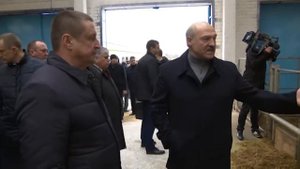 Лукашенко и его процветающий колхоз около Гомеля в деревне Осовцы | 18+