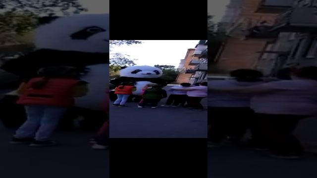 Панда поздравляет с днём рождения ???