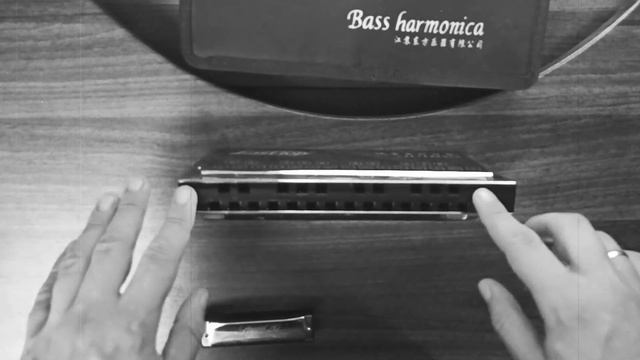 Обзор губной гармоники East Top T1 Bass | East Top T1 Bass harmonica review (ENG sub) смотреть онлайн