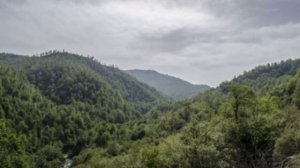 Sabir Eliyev - sevda