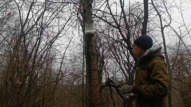 проверил ловушки и сделал солонец для зайца смотреть онлайн