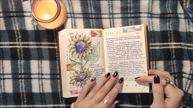 личный дневник 2019-2020 / комментарии