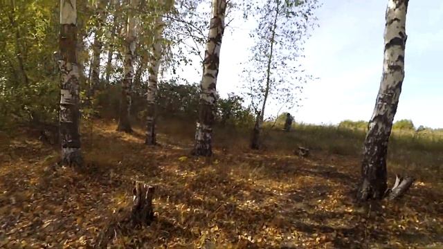 Пруд «Ивняки». Что с ним стало. смотреть онлайн