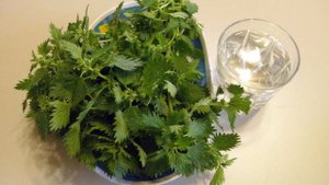 Крапива на зиму в банках