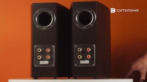 Обзор фронтальных колонок HECO Victa Prime 302 Espresso | Ситилинк