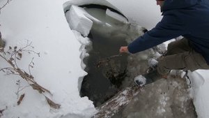 Ручейник супер насадка для рыбы. Как собрать, и где искать.