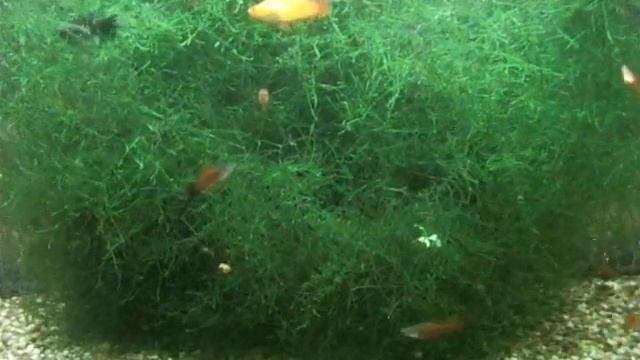 Ракеты на фоне зеленой туманности смотреть онлайн