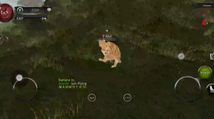 как создать скрипт и как пользаватся им в wild animals online раскажу все что знаю про GG и скрипт!