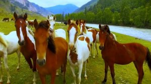 Песня о сыне "Поговорим, сынок... О том, о сём..."