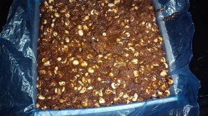 варю щербет в Индии 2024