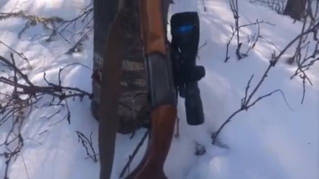 Проверка капканов на соболя смотреть онлайн