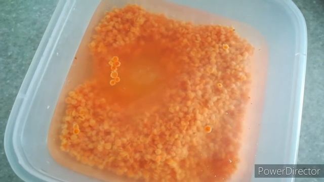 Фудбук что я ем в течение недели Бюджетное меню на неделю для всей семьи Интервальное питание 8 /16