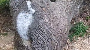 город Дубовка. Волгоградская область