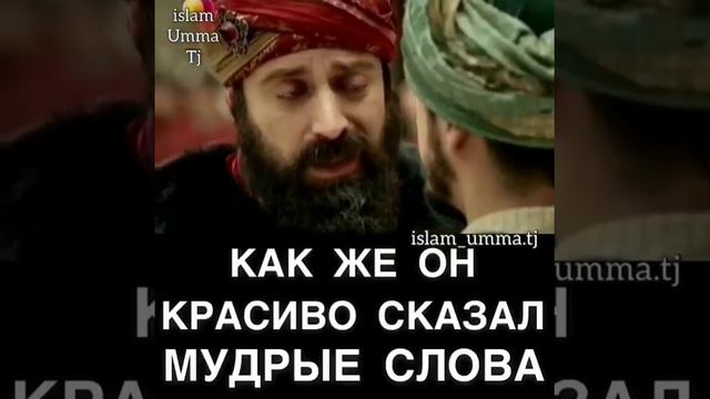 Мудрые слова Султана Сулеймана