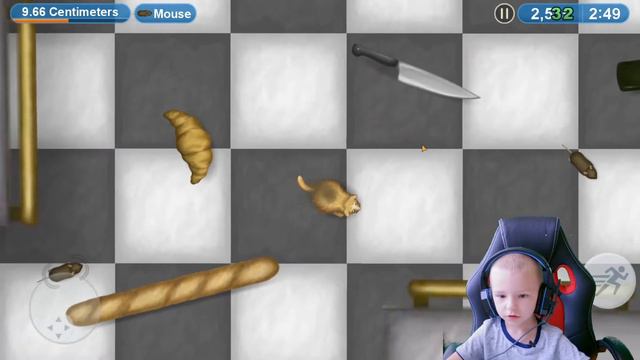 КОТИК ОБЖОРА Съел Всех в Игре Tasty Planet #1 СуперМакс