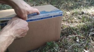 Дугласия или лжетсуга псевдотсуга Менсиса - саженцы и посылка
