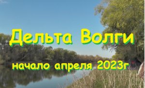 Отличное открытие летнего рыболовного сезона Дельта Волги 2023г