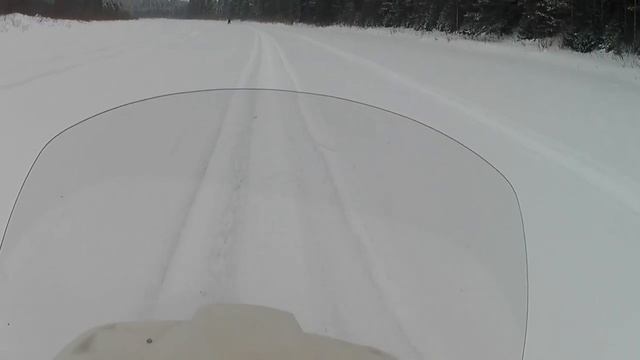 ?бомба #покатушки с поламарусом смотреть онлайн