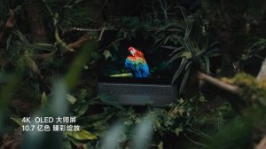 Xiaomi Book Pro 16 2022 Laptop Intel i7-1260P/i5-1240P RTX 2050 @knowledge