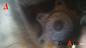 Toyota 4runner: осевой и радиальный люфт правой передней полуоси