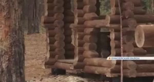 Лесозаготовка