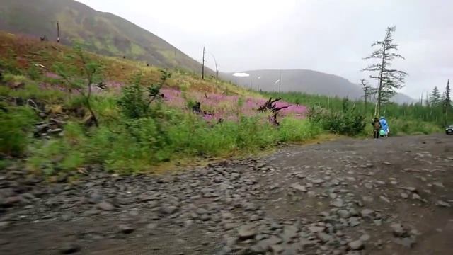Талнах. Идем в ущелье Красные камни. Прогулка под дождем