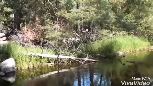 Платье... (Памяти И. Д. Кобзона) 🙏🌹🌹 смотреть онлайн