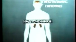 физиология системы выделения