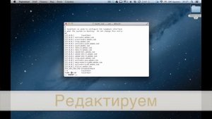Как отредактировать Hosts на MacOS
