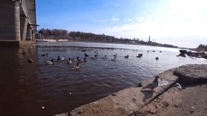 Озеро Чудское. Псков. Путешествие на машине #VanLife Строим дом на колесах, испытание, трасса Е95