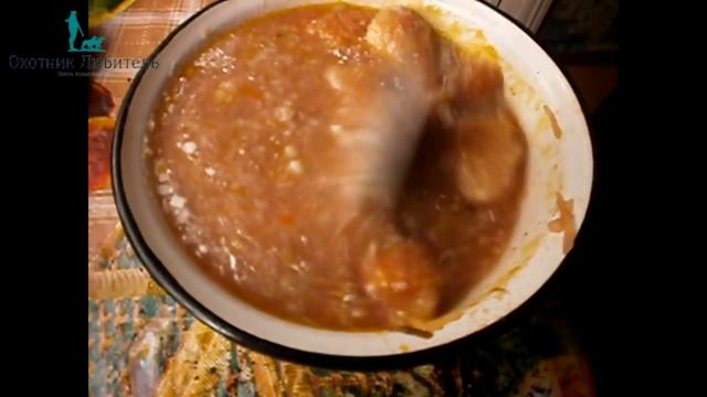 Глисты у собак!КАК лечить
