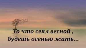 Христианская песня " То что сеял весной, будешь осенью жать" . ..