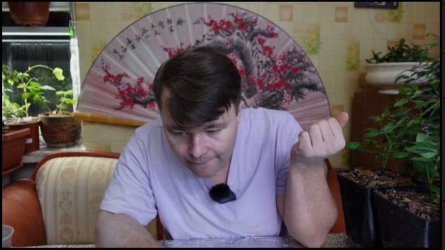 Прямой эфир - #розы, #рассада. #Ответы на #вопросы. смотреть онлайн