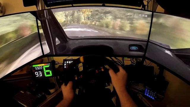 Dirt rally triple screen gsync stream test смотреть онлайн