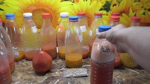 О заготовке семян томатов в домашних условиях. Нужна ли ферментация?