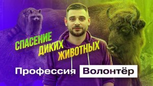 Спасаем дикого зубра в горах Кавказа|Профессия волонтёр|Серия 1