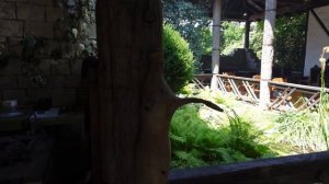 Отдых в Абхазии. Санаторий САМШИТОВАЯ РОЩА. Один из лучших семейных отелей в Пицунде.