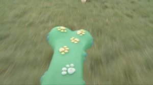 ДОМАШНИЕ ЖИВОТНЫЕ НА ФЕРМЕ. КОРОВА. ЛОШАДКА. ПОРОСЕНОК. КРОЛИК. Ферма Микки лучшие серии