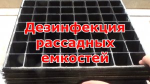 Чем обрабатывать емкости для рассады, чтобы растения не болели. Дезинфекция рассадной тары.