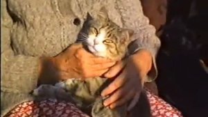 Нина Ивановна и Анна Яковлевна - Nina Ivanovna and Anna Yakovlevna